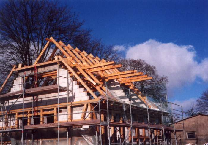 haus10